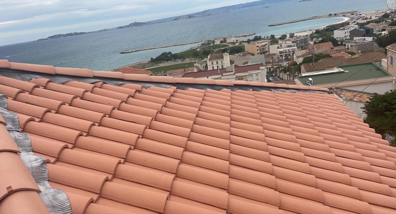 Rénovation complète de toiture et Pose de Velux