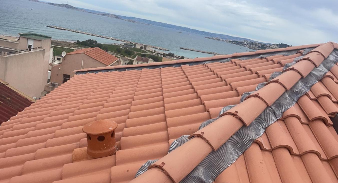 Rénovation complète de toiture et Pose de Velux