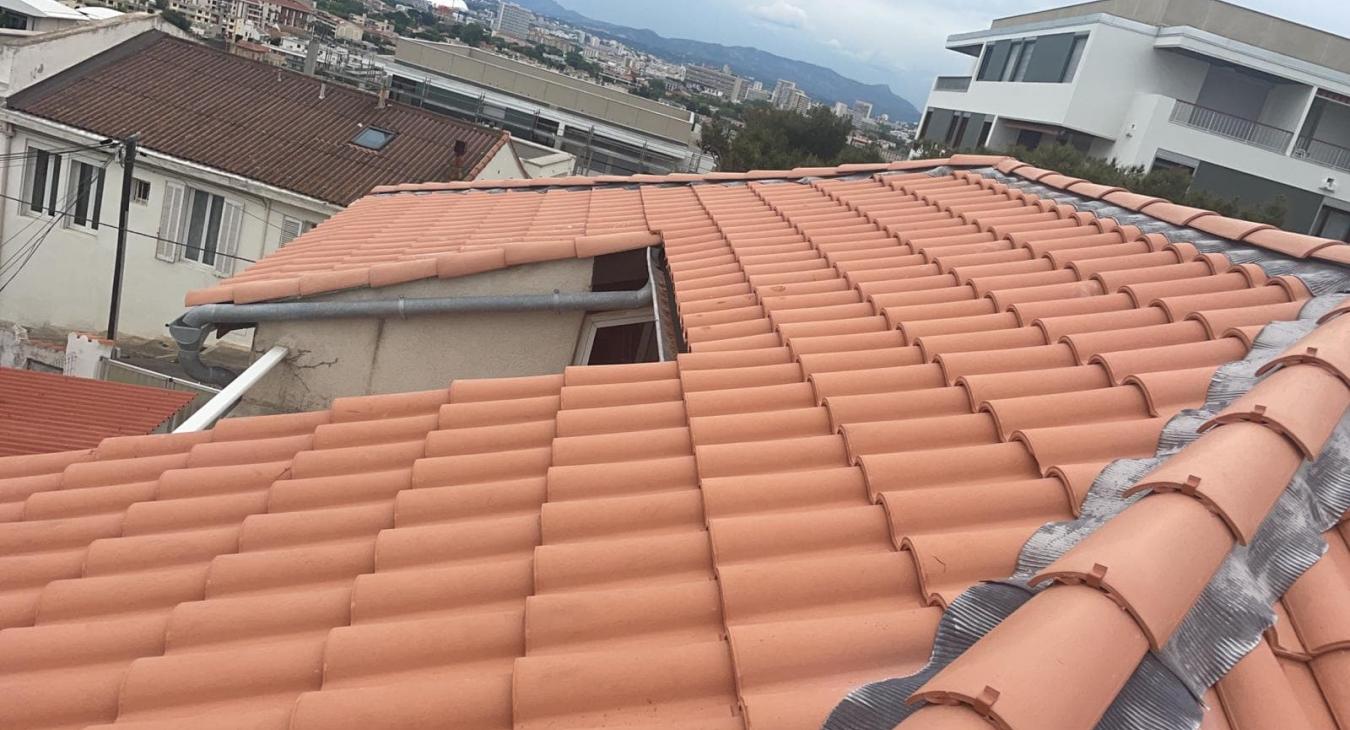 Rénovation complète de toiture et Pose de Velux